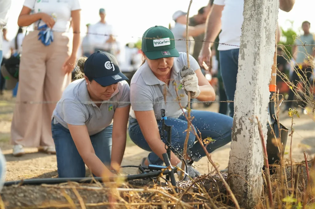 Participantes siembran un árbol nativo durante la jornada en Tecomán