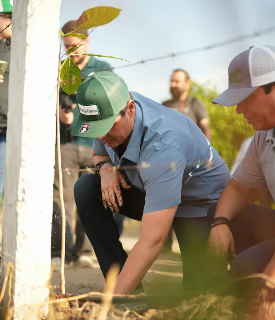 Participante planta un árbol nativo durante la jornada de ReforestAcción 2026