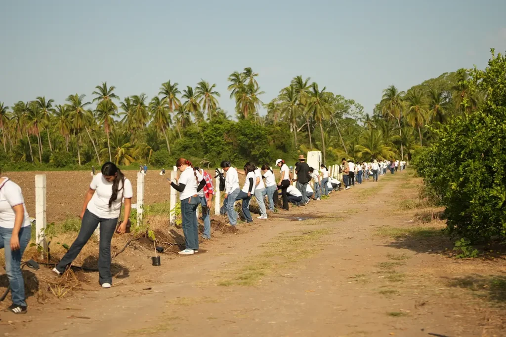 Estudiantes y voluntarios de la Universidad de Colima durante la jornada de plantación en Tecomán