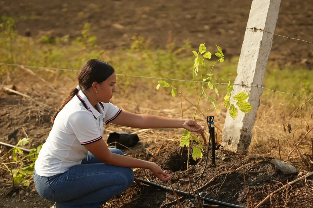 Voluntaria planta un árbol nativo durante ReforestAcción 2026
