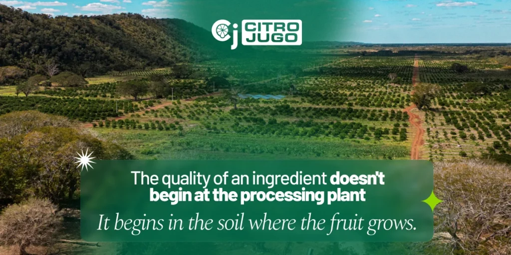 The quality of an ingredient doesn't begin at the processing plant. It begins in the soil where the fruit grows. Aerial view of citrus orchards